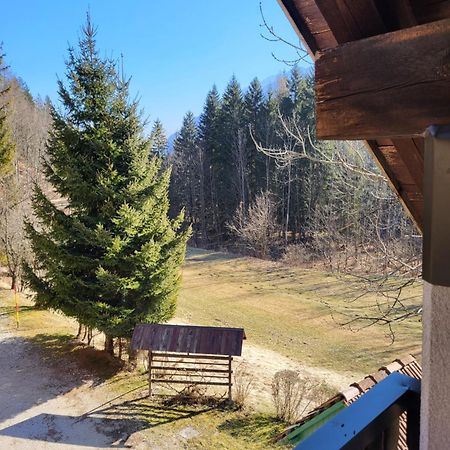 Apartment Dobnikar Kranjska Gora Exterior foto